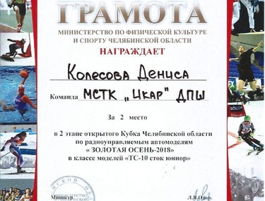 Сертификат Колесов Денис Дмитриевич